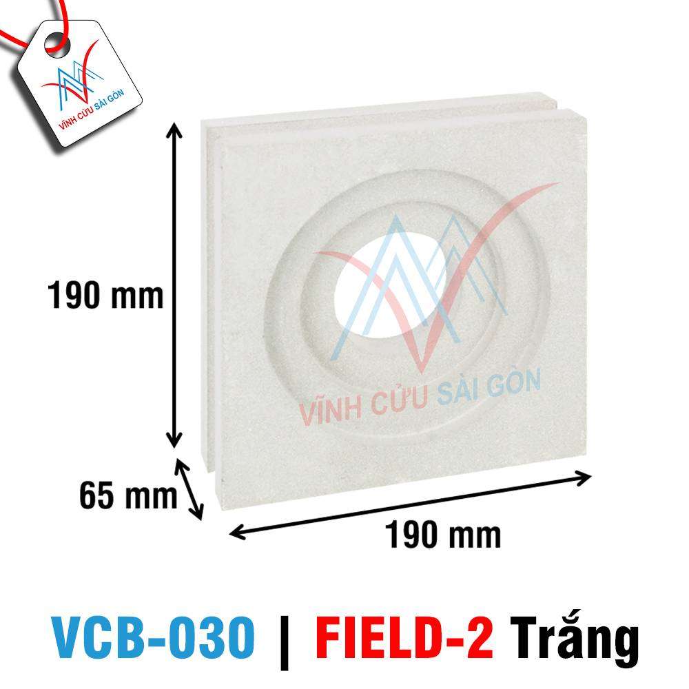 Bông gió mỹ thuật VCB-030 trắng (190x190x65 mm)
