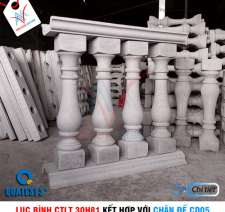 Bộ lục bình CTLT 30H81 và chân đế CD05