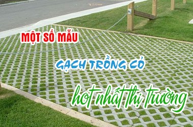 Các mẫu gạch trồng cỏ hot nhất thị trường
