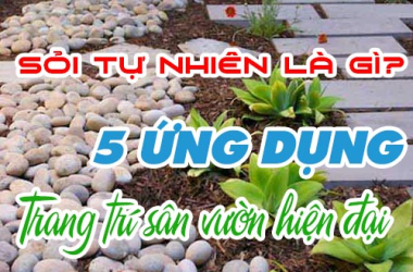 Sỏi Tự Nhiên Là Gì? 5 Ứng Dụng Trang Trí Sân Vườn Hiện Đại, Đẹp Mê Ly!