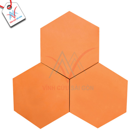 Gạch tàu lục giác Đồng Nai 20x20