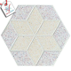 GẠCH TERRAZZO ĐA MÀU OD2-HX3/2