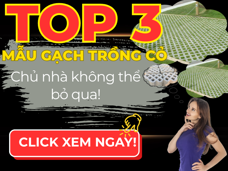 Gạch trồng cỏ 8 lỗ
