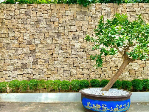 Tường ốp Đá rối vàng Bình Định