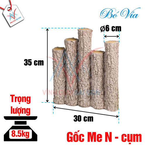 Bó vỉa gốc me (cụm N)