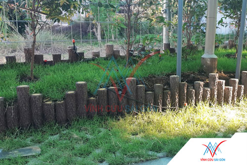 Công trình thực tế sử dụng bó vỉa gốc me cụm N