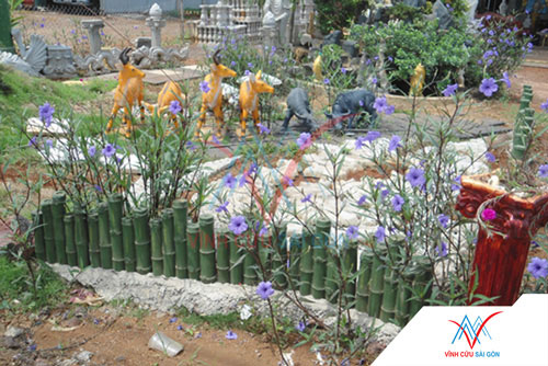 Cụm tre xanh