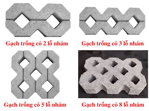 Các mẫu gạch trồng cỏ hot nhất thị trường