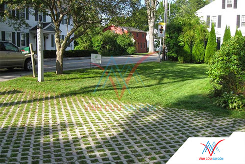 Công trình thực tế sử dụng Gạch trồng cỏ 8 lỗ nhám