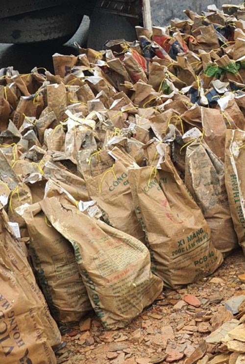 Đá chẻ rối vàng ánh kim dạng bao