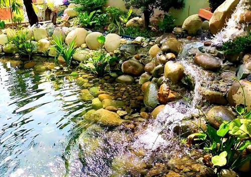 Sỏi tự nhiên lót đáy hồ cá coi