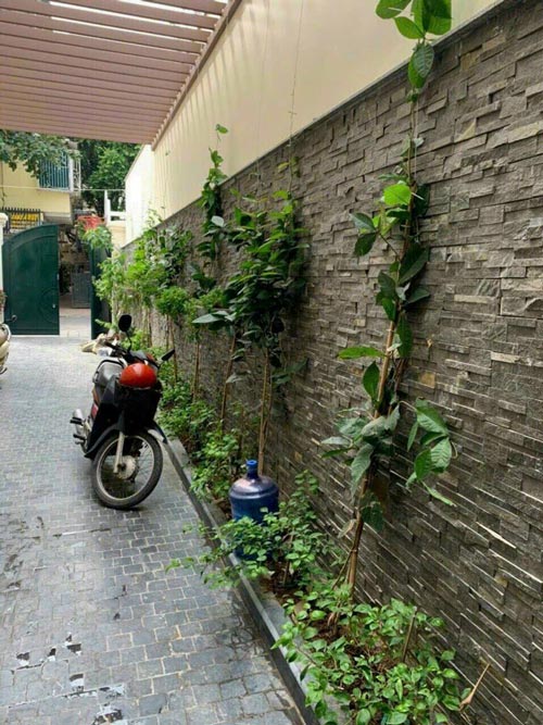 Ứng dụng của đá tự nhiên ốp tường